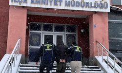 Hakkari'de haklarında kesinleşmiş hapis cezası bulunan 2 hükümlü yakalandı