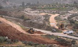 İsrail Batı Şeria'da zeytin ağaçlarıyla birlikte Filistinlilerin kültürel hafızasını da yok ediyor