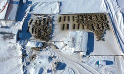 Kangal akkaraman ırkı koyun sürüsünü devlet desteğiyle 6 kat büyüttü