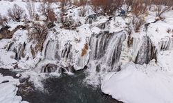 Kısmen donan Muradiye Şelalesi'nde kış güzelliği