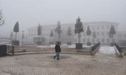 Malatya'da sis etkili oldu