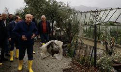 Muğla'da hortumun zarar verdiği seralarda hasar tespit çalışmaları başladı