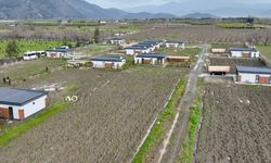 Muğla'da imara aykırı yapılar yıkılıyor