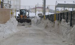 Muş'ta karla kaplı stat ekiplerin çalışmasıyla maça hazır hale getirildi