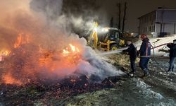 Sakarya'da saman yüklü tır alev aldı