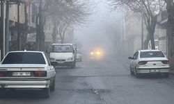 Şanlıurfa'da yoğun sis etkili oluyor