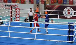Türkiye Ferdi Boks Şampiyonası, Kocaeli'de sürüyor