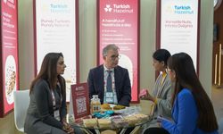 Türkiye'nin Hindistan'a fındık ihracatı artıyor