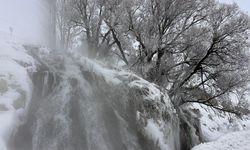 Van, Bitlis ve Hakkari'de kar ulaşımı aksattı