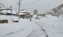 Van, Hakkari, Bitlis ve Muş'ta 995 yerleşim yerine ulaşım sağlanamıyor