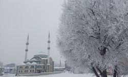 Van ve çevre illerde kar nedeniyle 25 yerleşim yerine ulaşılamıyor