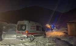 Van'da çığ nedeniyle yolu kapanan mahalledeki hastalar ekiplerin çalışmasıyla hastaneye ulaştırıldı
