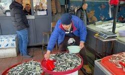 Zonguldak'ta olumsuz hava koşulları balık fiyatlarını artırdı