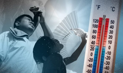 Dünyayı bu yıl da aşırı sıcaklar bekliyor