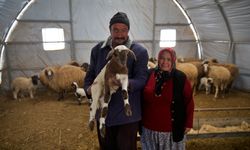 6 ŞUBAT DEPREMLERİNİN ÜÇÜNCÜ YILI - Depremde ahırı yıkılan küçükbaş hayvan yetiştiricisi, devlet desteğiyle üretimini sürdürüyor