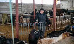 6 ŞUBAT DEPREMLERİNİN ÜÇÜNCÜ YILI - Depremde hayvanlarını kaybeden besici, üretime devlet desteğiyle tutundu