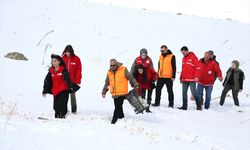 Ağrı'da yaban hayvanları için karla kaplı arazilere yem bırakıldı