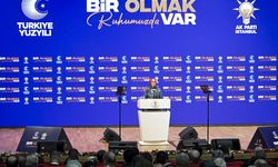 AK Parti İstanbul İl Başkanlığı 'İstanbul'da Bir Olmak' programı düzenledi