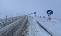 Ardahan'da kar ve tipi ulaşımı aksatıyor