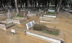 Aydın'da sağanak hayatı olumsuz etkiledi