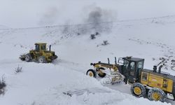 Bayburt ve Gümüşhane'de kar yağışı etkili oldu