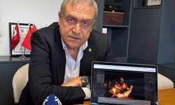 Beşiktaş Kulübü İkinci Başkanı Hakan Daltaban, AA'nın 'Yılın Kareleri' oylamasına katıldı