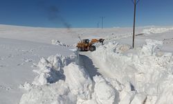 Bingöl Karlıova'da kardan kapanan mezra yolu ulaşıma açıldı