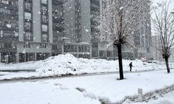 Bitlis'te kar etkili oldu