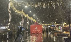 Bolu'da kar etkili oluyor