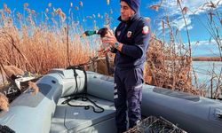 Bursa'da kaçak avcılara 431 bin 979 lira idari para cezası kesildi