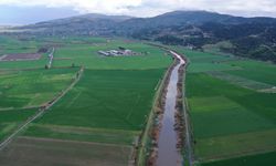 Büyük Menderes Nehri yağmur sularıyla güçlendi