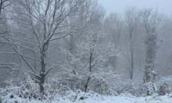 Çanakkale'nin yüksek kesimlerinde kar etkili oldu