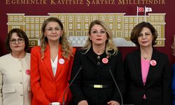 CHP'li Kaya, 'Türk Medeni Kanunu'nun değiştirilmesi gerektiğine' yönelik söylemleri eleştirdi