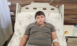 Çorum'da köpeklerin saldırısında yaralanan çocuk tedavi altına alındı