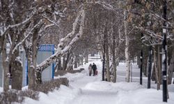 Doğu Anadolu'da 5 ilde kar ve soğuk hava etkili oluyor