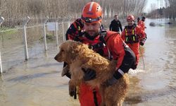 Edirne'de AFAD koordinesinde 101 arama kurtarma personeli taşkın sahasında görev alıyor