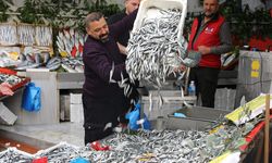 Edirne'de hamsi 50 liraya düştü, tezgahlarda yoğunluk oluştu