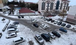 Erzurum, Kars ve Ardahan'da soğuk hava etkili oluyor