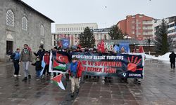 Erzurum'da sağlıkçılar Gazze için sessiz yürüyüşlerini 117. haftada sürdürdü
