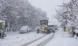 Erzurum'da soğuk hava, Kars ve Ardahan'da kar etkili oluyor