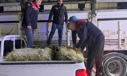 Erzurum'da yolda kalan tırlardaki hayvanlar beslendi