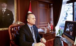 Fethiye Kaymakamı Akkaya, AA'nın 'Yılın Kareleri' oylamasına katıldı