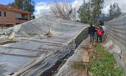 Fethiye'de rüzgardan zarar gören alanlarda hasar tespit çalışması başlatıldı