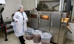 Fındık işleme tesisi için devlet desteği alan kadın, kendi işinin patronu oldu