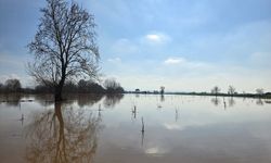 Gediz Nehri'nin taşması nedeniyle Turgutlu Ovası'nda bazı tarım arazileri su altında kaldı
