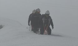 Hakkari'de VEDAŞ ekibi, karlı dağda arızayı gidererek köye yeniden enerji verdi