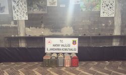 Hatay'da horoz dövüştüren 76 kişiye 990 bin 432 lira ceza kesildi