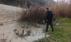 Hatay'da nehre düştüğü iddia edilen kişiyi arama çalışmaları sürüyor