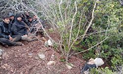 Hatay'da yurda yasa dışı yollarla girmeye çalışan 30 yabancı uyruklu yakalandı