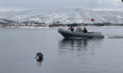 Hazar Gölü'nde su samuru görüntülendi